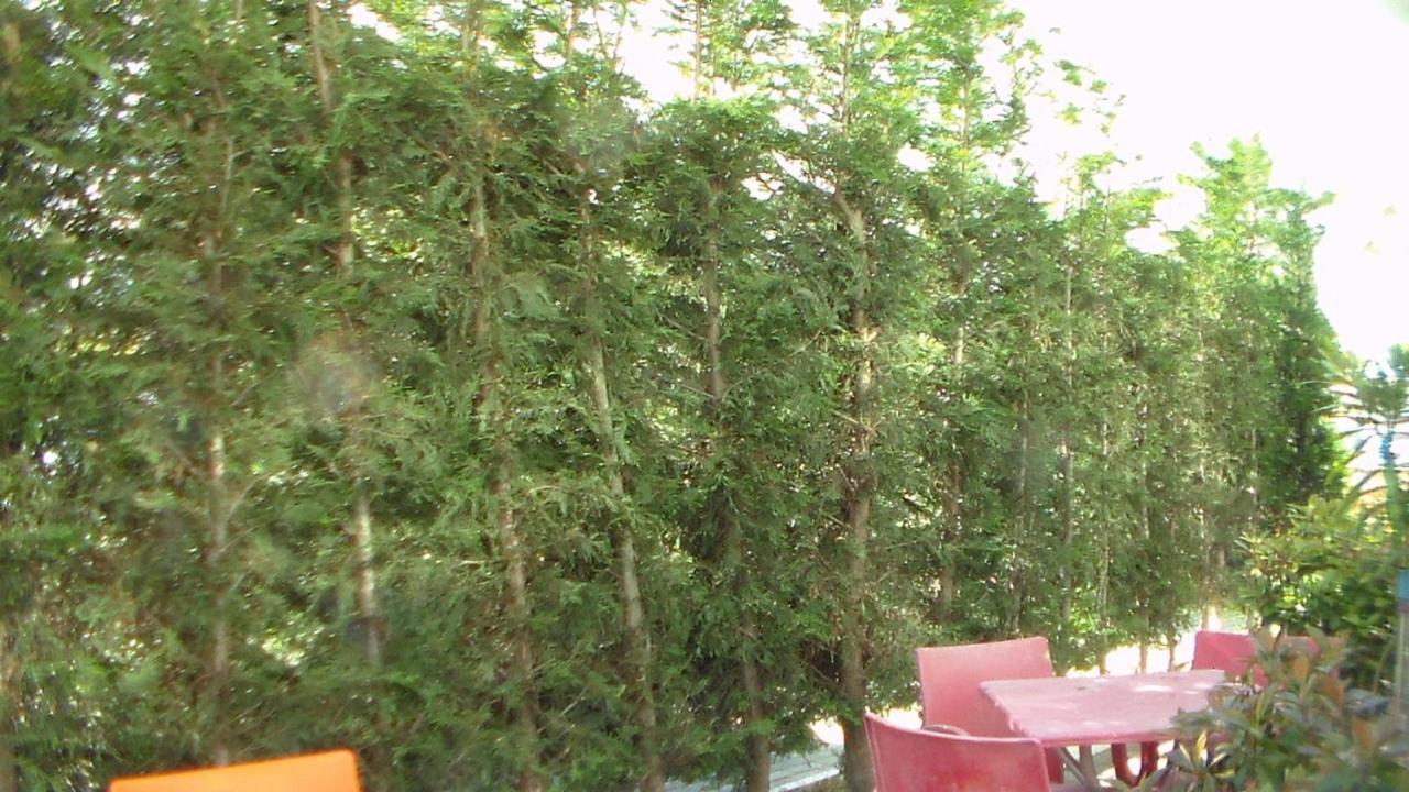 Shkoder Hotel Temali Shkodër Exterior foto